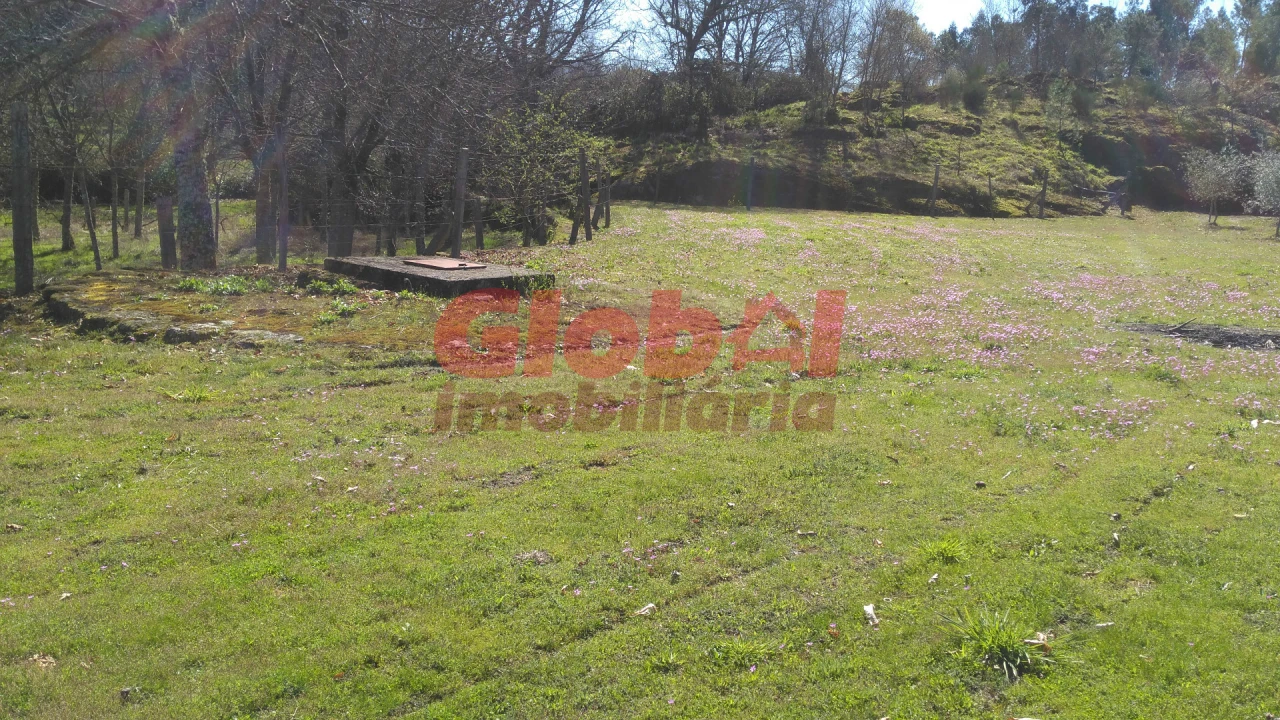 Terreno para Venda em Bodiosa Foto 13