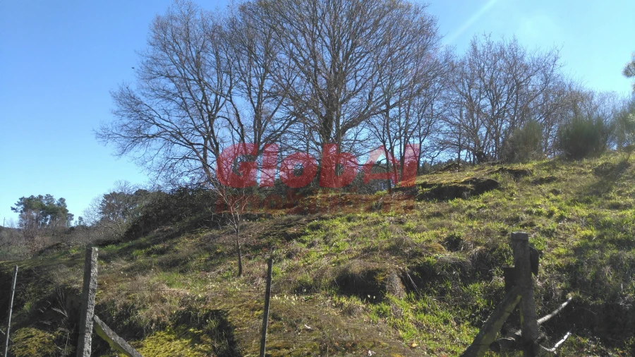 Terreno para Venda em Bodiosa Foto 9