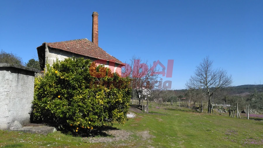 Terreno para Venda em Bodiosa Foto 8