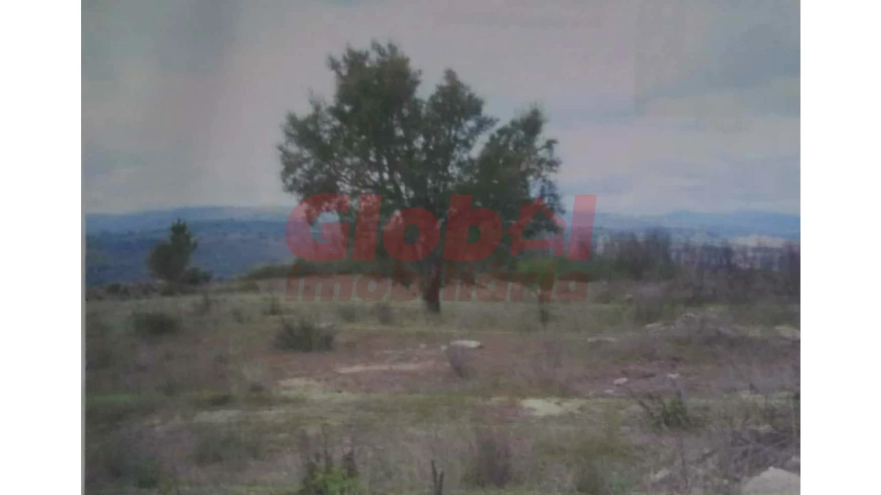 Terreno para Venda em Ribamondego Foto 1