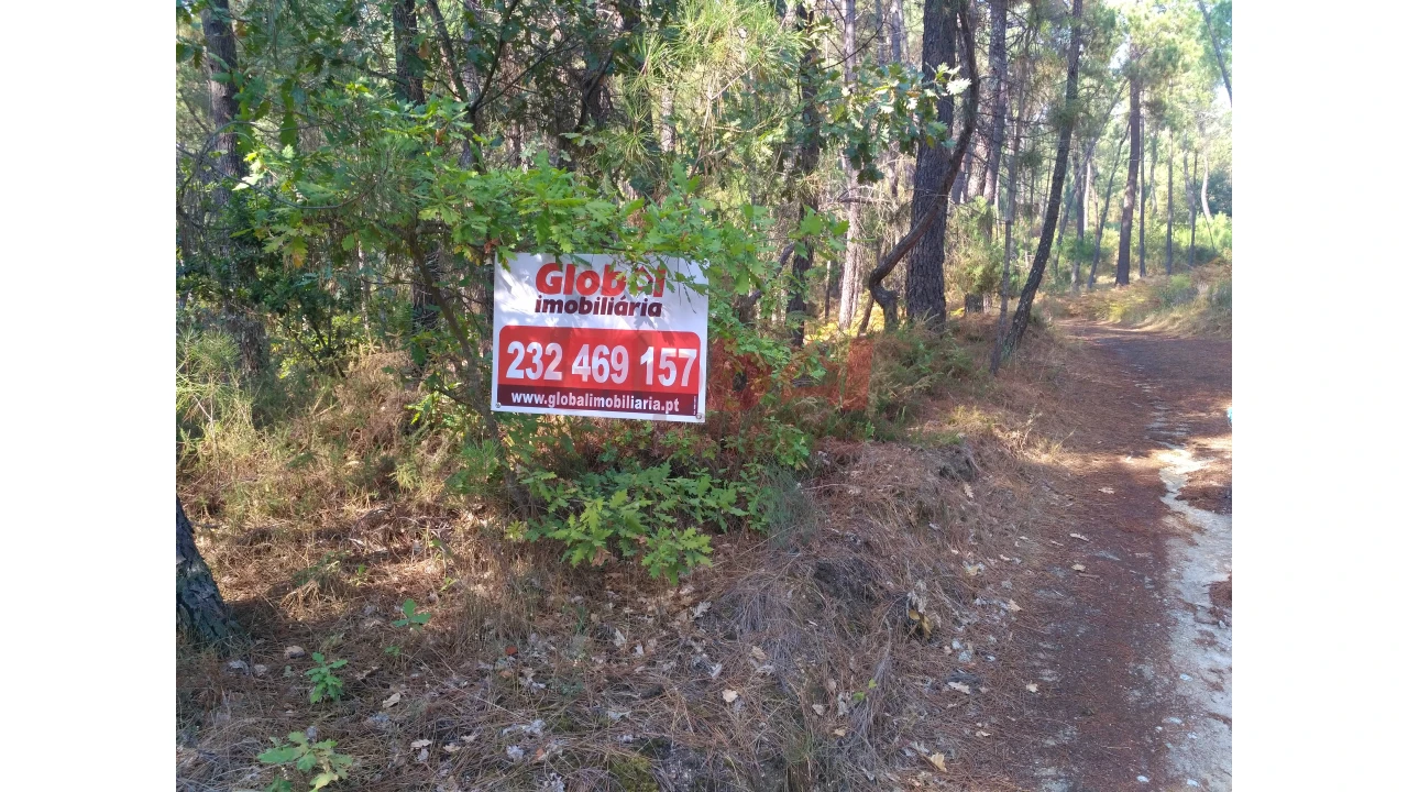 Terreno para Venda em Rio de Loba Foto 1
