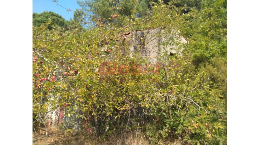 Terreno para Venda em Rio de Loba Foto 3