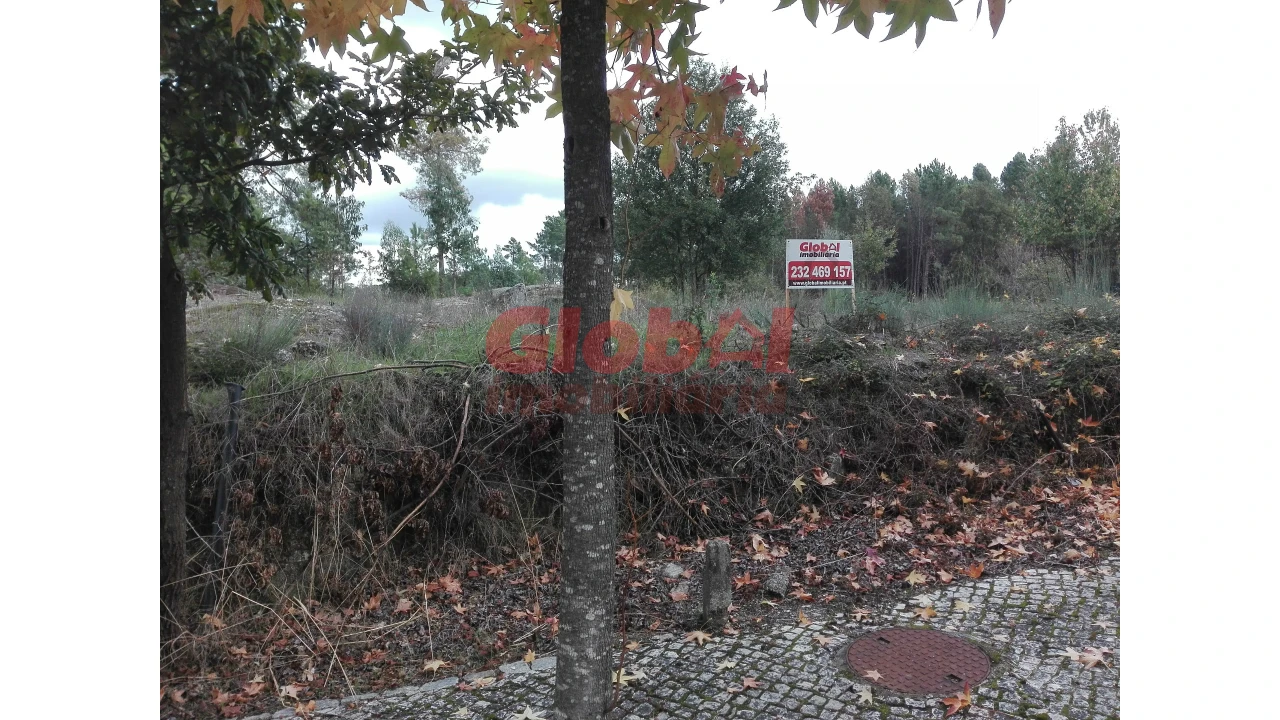 Terreno para Venda em Rio de Loba Foto 3