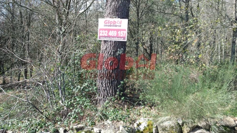 Terreno para Venda em São João de Lourosa