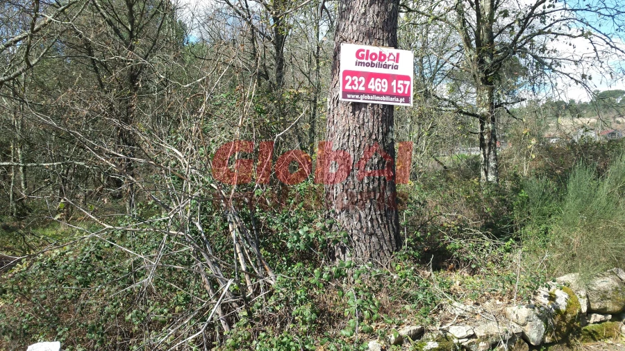 Terreno para Venda em São João de Lourosa Foto 3