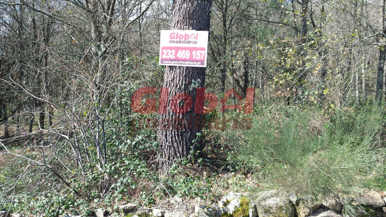 Terreno para Venda em São João de Lourosa Foto 1