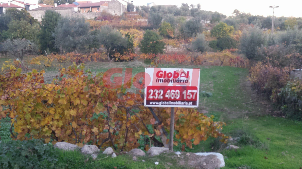 Terreno Agricola ou Rústico para Venda em São João de Lourosa Foto 1
