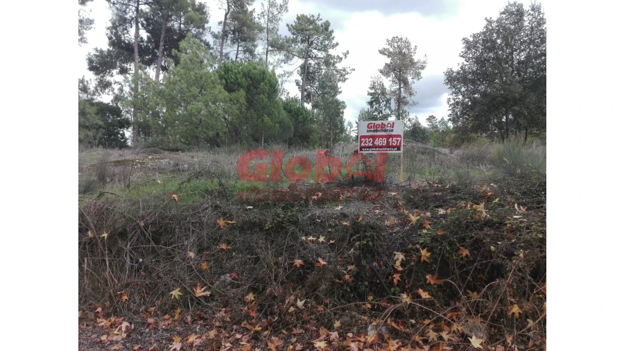 Terreno para Venda em Rio de Loba Foto 4