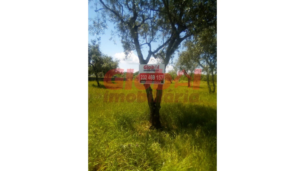 Terreno para Venda em Fragosela Foto 3