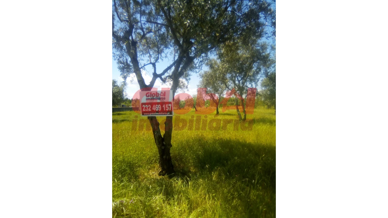 Terreno para Venda em Fragosela Foto 1