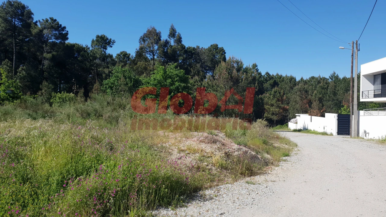 Terreno para Venda em São João de Lourosa Foto 1