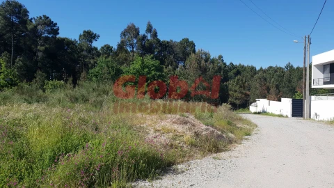 Terreno para Venda em São João de Lourosa