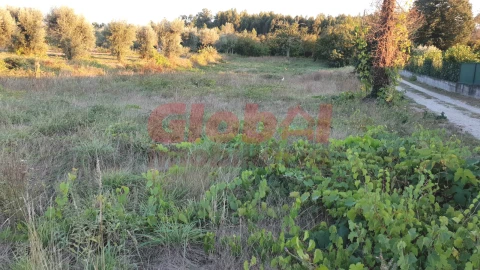 Terreno para Venda em Rio de Loba