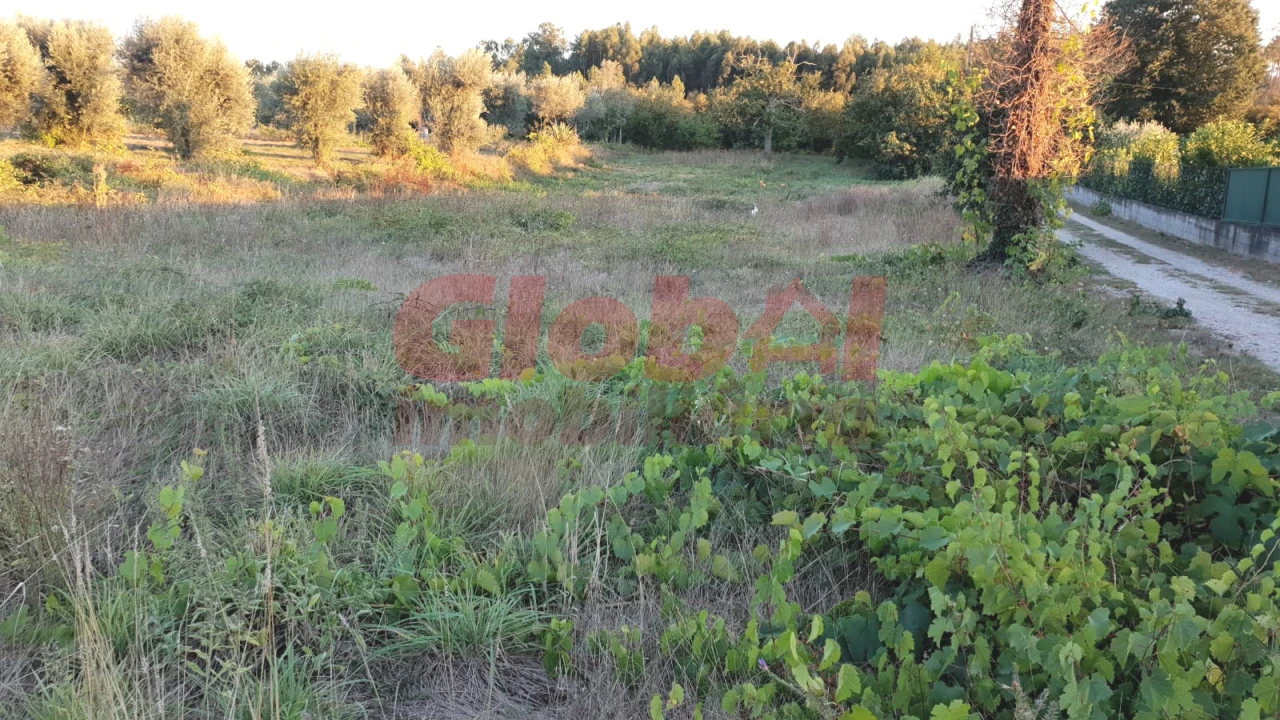Terreno para Venda em Rio de Loba Foto 2