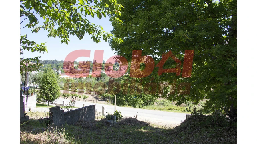 Terreno para Venda em Couto de Baixo e Couto de Cima Foto 10