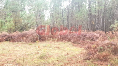 Terreno para Venda em São João de Lourosa