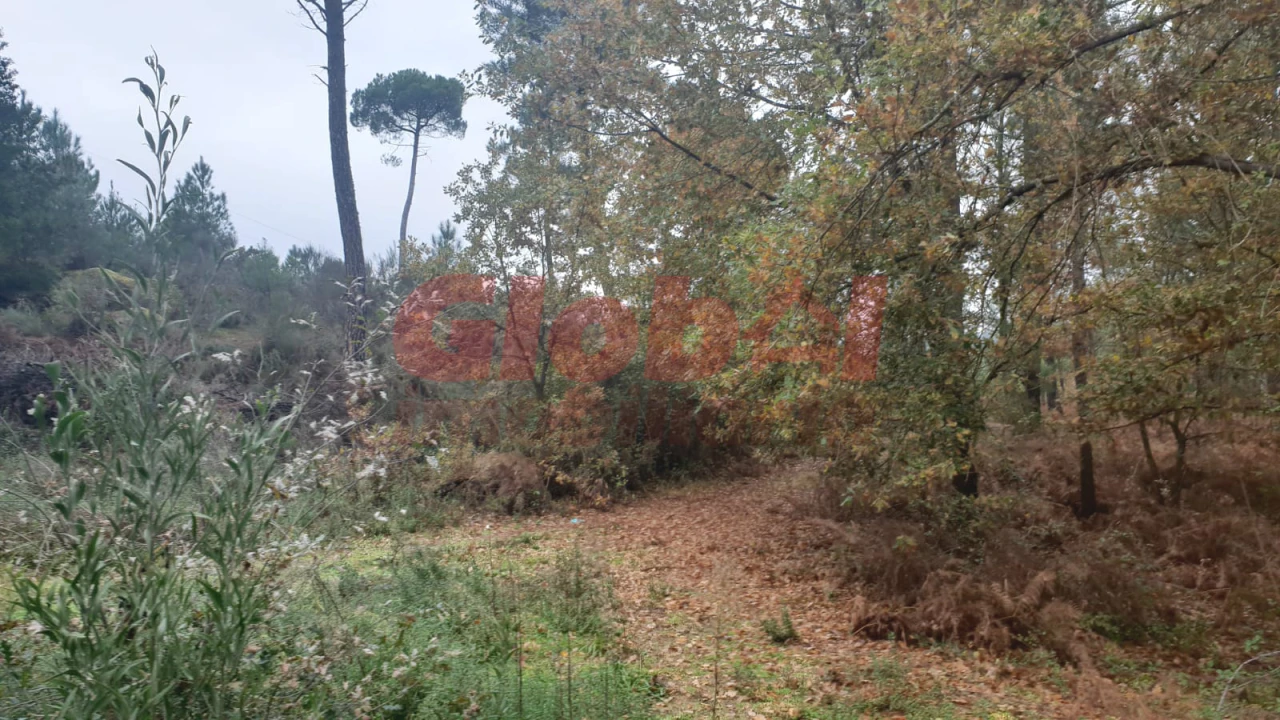 Terreno para Venda em São João de Lourosa Foto 1