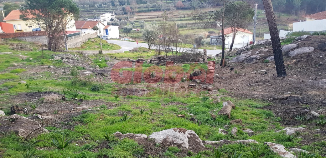 Terreno para Venda em Silgueiros