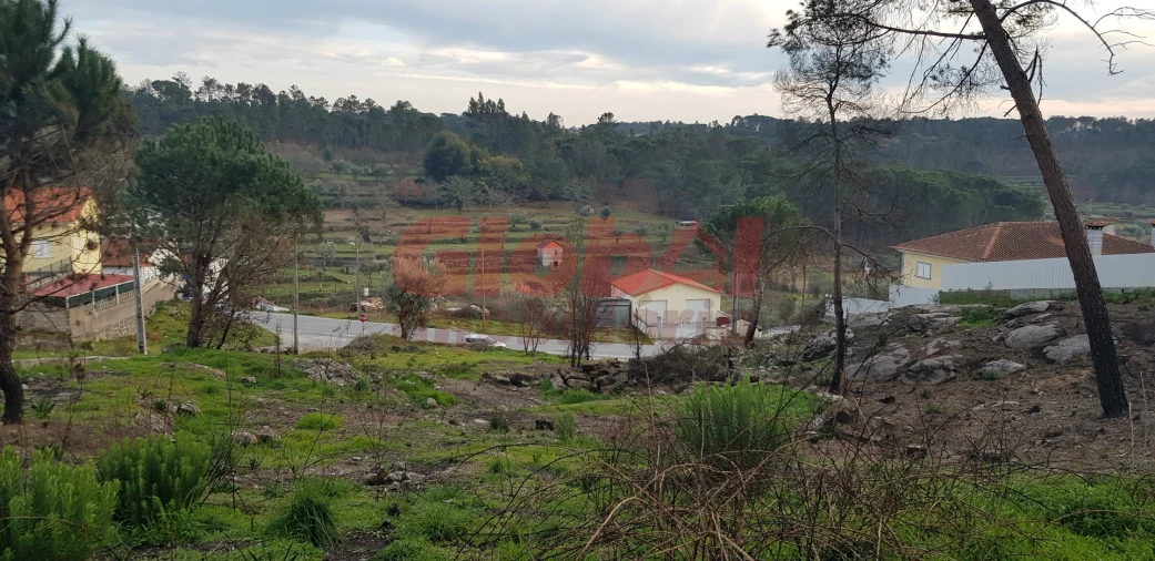 Terreno para Venda em Silgueiros Foto 3