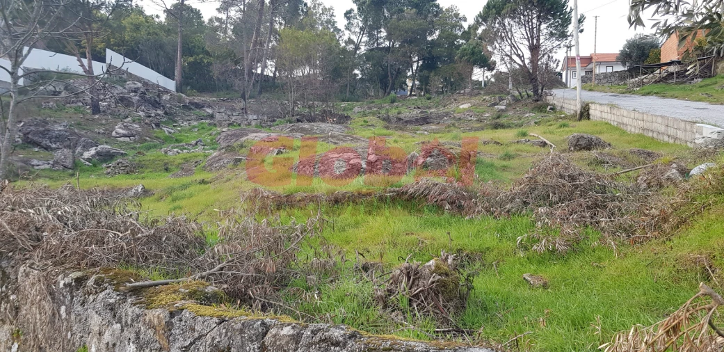 Terreno para Venda em Silgueiros Foto 2