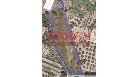 Terreno para Venda em Rio de Loba