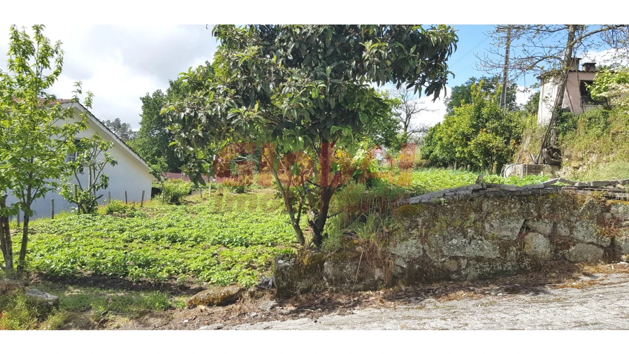 Terreno Agricola ou Rústico para Venda em Rio de Loba Foto 2