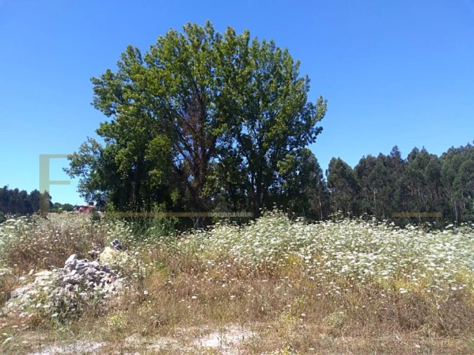 Terreno para Venda em Retorta e Tougues Foto 2