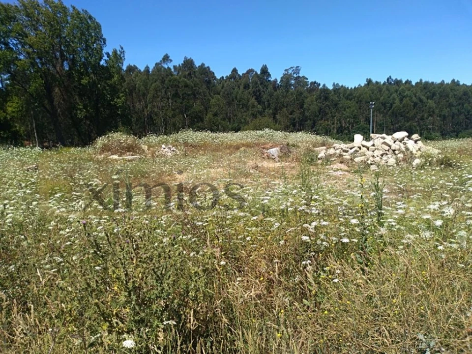 Terreno para Venda em Retorta e Tougues Foto 3