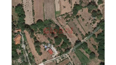 Terreno Agricola ou Rústico para Venda em Rio de Loba