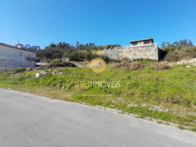 Terreno para Venda em Alpendorada, Várzea e Torrão Foto 2