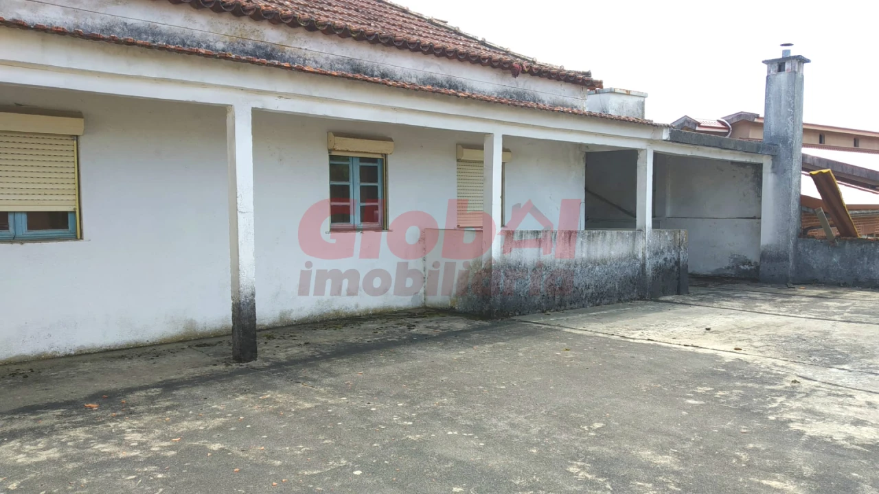 Quinta T0 para Venda em Campo Foto 4