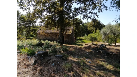 Terreno Agricola ou Rústico para Venda em Couto de Baixo e Couto de Cima