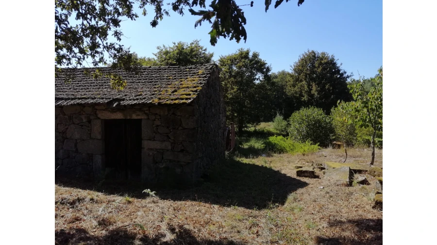 Terreno Agricola ou Rústico para Venda em Couto de Baixo e Couto de Cima Foto 2