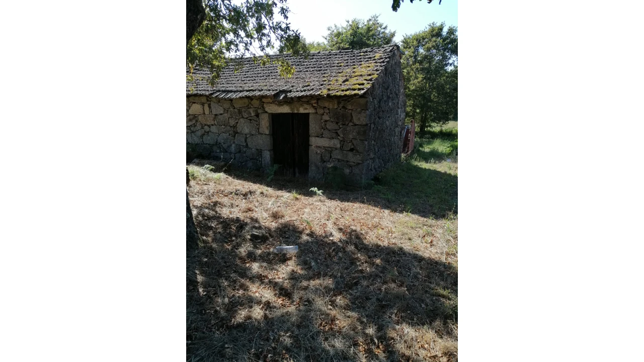 Terreno Agricola ou Rústico para Venda em Couto de Baixo e Couto de Cima Foto 3