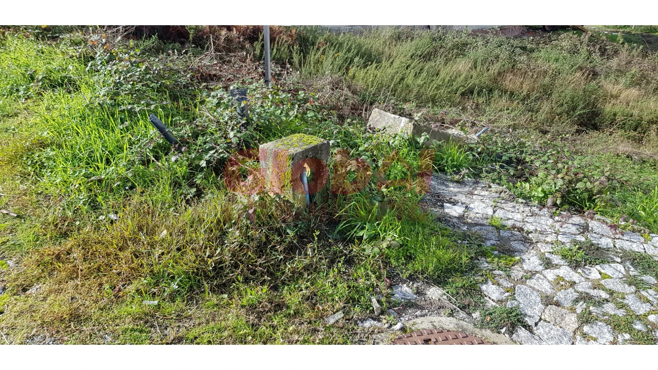 Terreno para Venda em Campo Foto 2