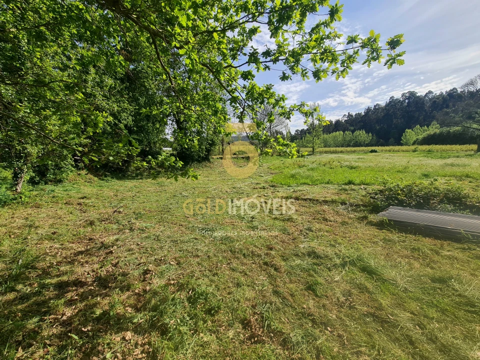 Terreno Agricola ou Rústico para Venda em Canedo, Vale e Vila Maior Foto 12