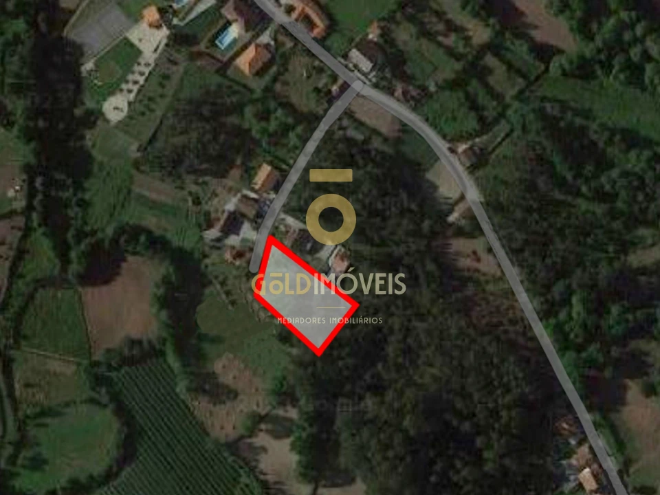 Terreno Agricola ou Rústico para Venda em Canedo, Vale e Vila Maior Foto 2