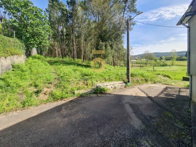 Terreno Agricola ou Rústico para Venda em Canedo, Vale e Vila Maior Foto 4