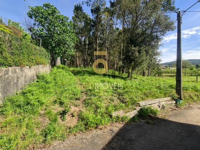 Terreno Agricola ou Rústico para Venda em Canedo, Vale e Vila Maior Foto 7