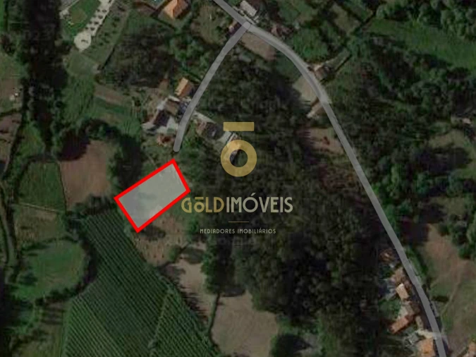 Terreno Agricola ou Rústico para Venda em Canedo, Vale e Vila Maior Foto 3