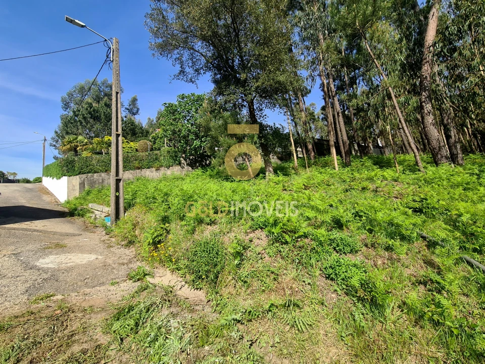 Terreno Agricola ou Rústico para Venda em Canedo, Vale e Vila Maior Foto 1
