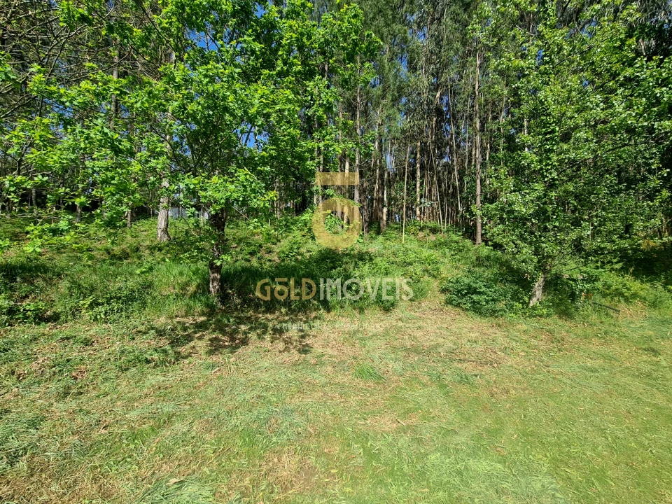 Terreno Agricola ou Rústico para Venda em Canedo, Vale e Vila Maior Foto 13