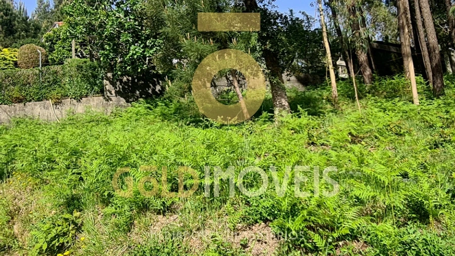 Terreno Agricola ou Rústico para Venda em Canedo, Vale e Vila Maior
