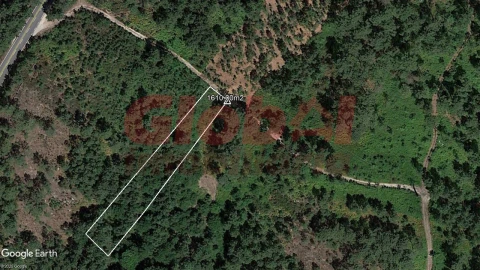 Terreno Agricola ou Rústico para Venda em Santos Evos