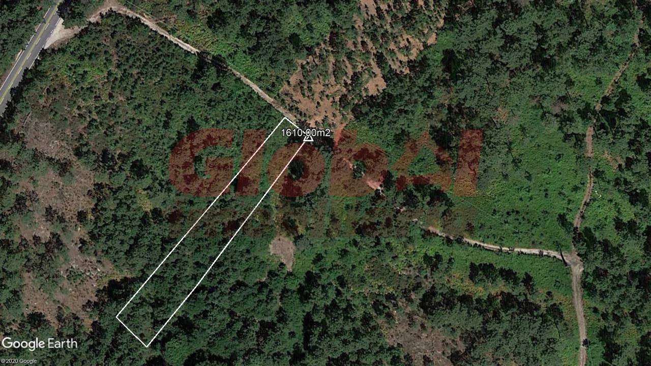 Terreno Agricola ou Rústico para Venda em Santos Evos Foto 1