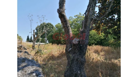 Terreno para Venda em Ranhados