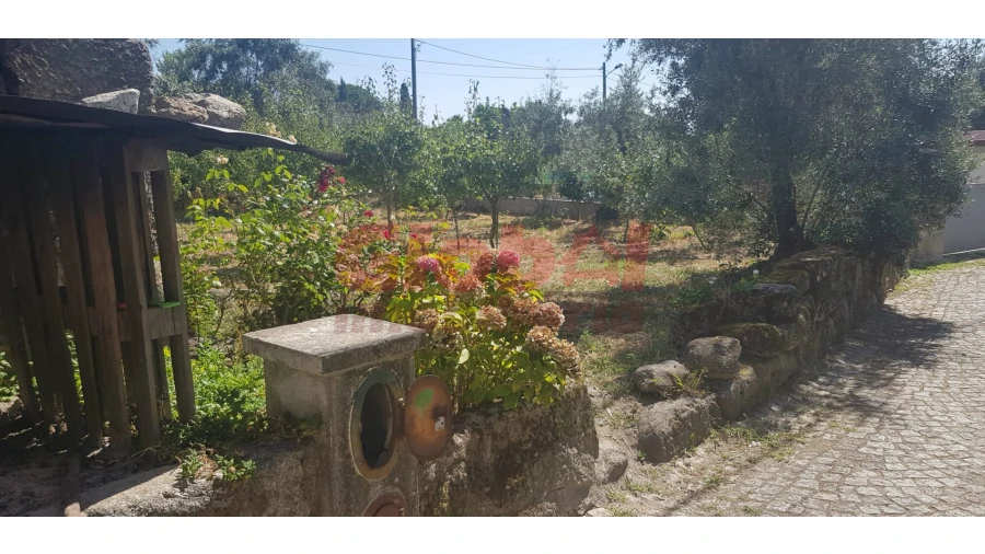 Moradia T0 para Venda em São João de Lourosa Foto 4