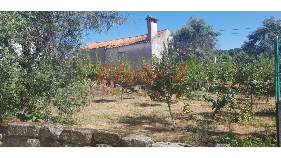 Moradia T0 para Venda em São João de Lourosa Foto 2