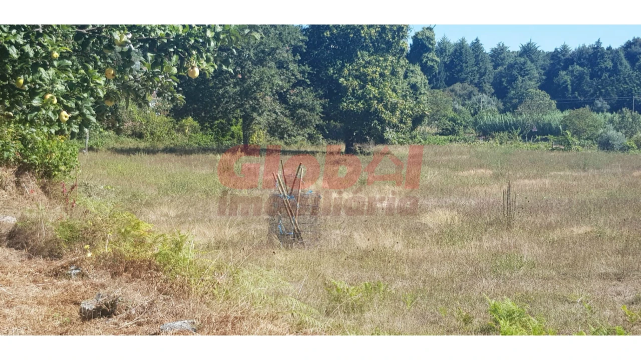 Terreno para Venda em Couto de Baixo e Couto de Cima Foto 5
