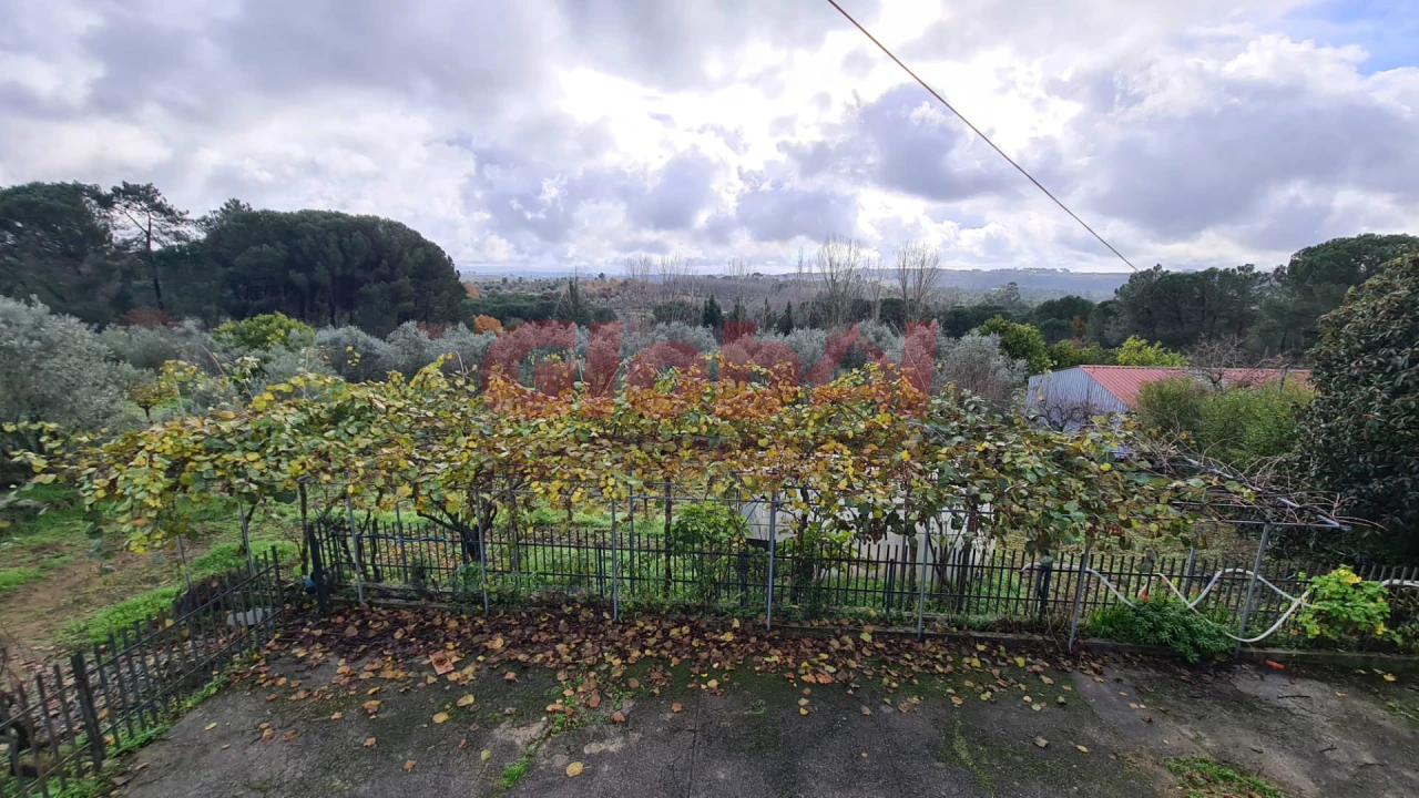 Quinta T3 para Venda em Alcafache Foto 21